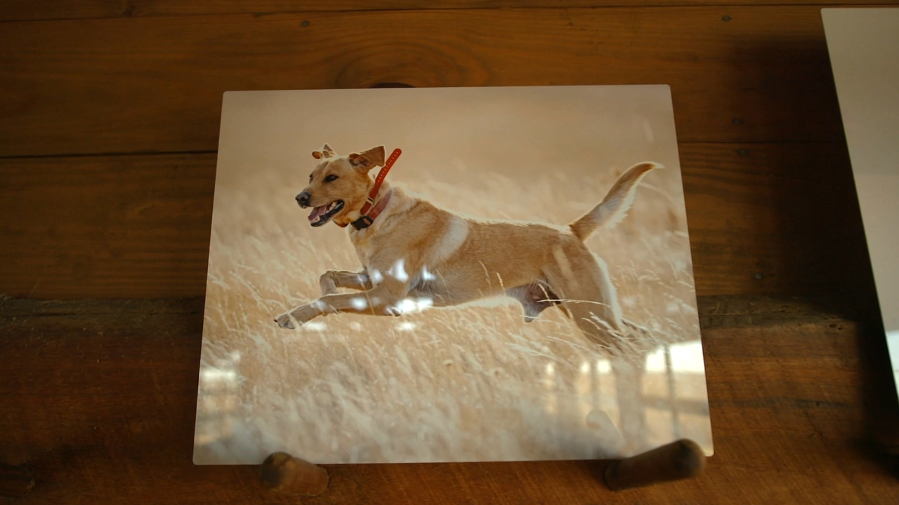 Hank Hunt #3 episode thumbnail