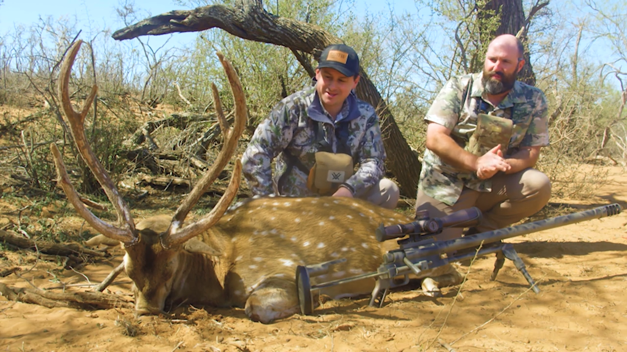 50 BMG vs AXIS Buck episode thumbnail