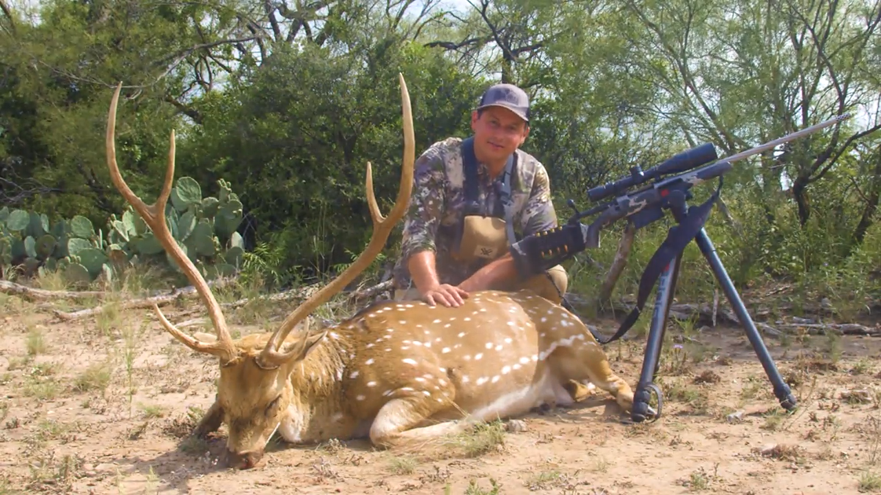 Dove Deluxe and Axis Bucks episode thumbnail