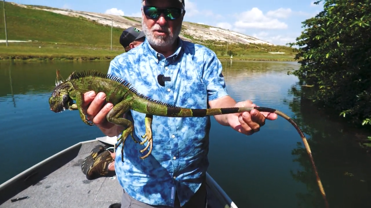 Blasting Miami Lizards episode thumbnail