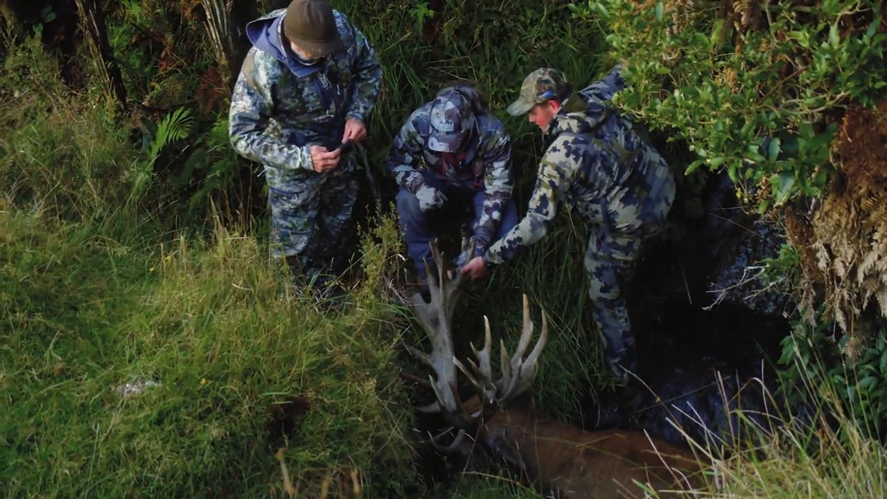 New Zealand Red Stag and Fallow episode thumbnail