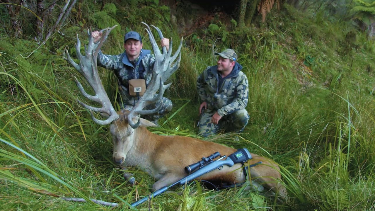 New Zealand Adventure Continues episode thumbnail