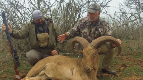 Aoudad Airgun and Antelope Hand Cannon episode thumbnail