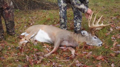 The Heart of The Rut episode thumbnail