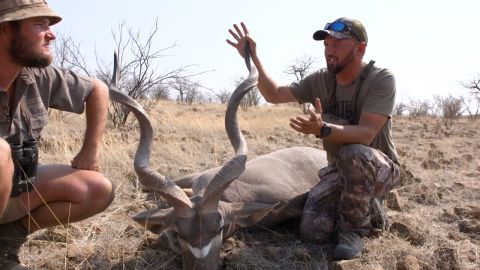 Leopard Pursuit episode thumbnail