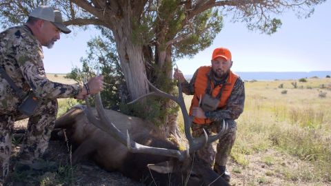 Western Elk Hunting episode thumbnail