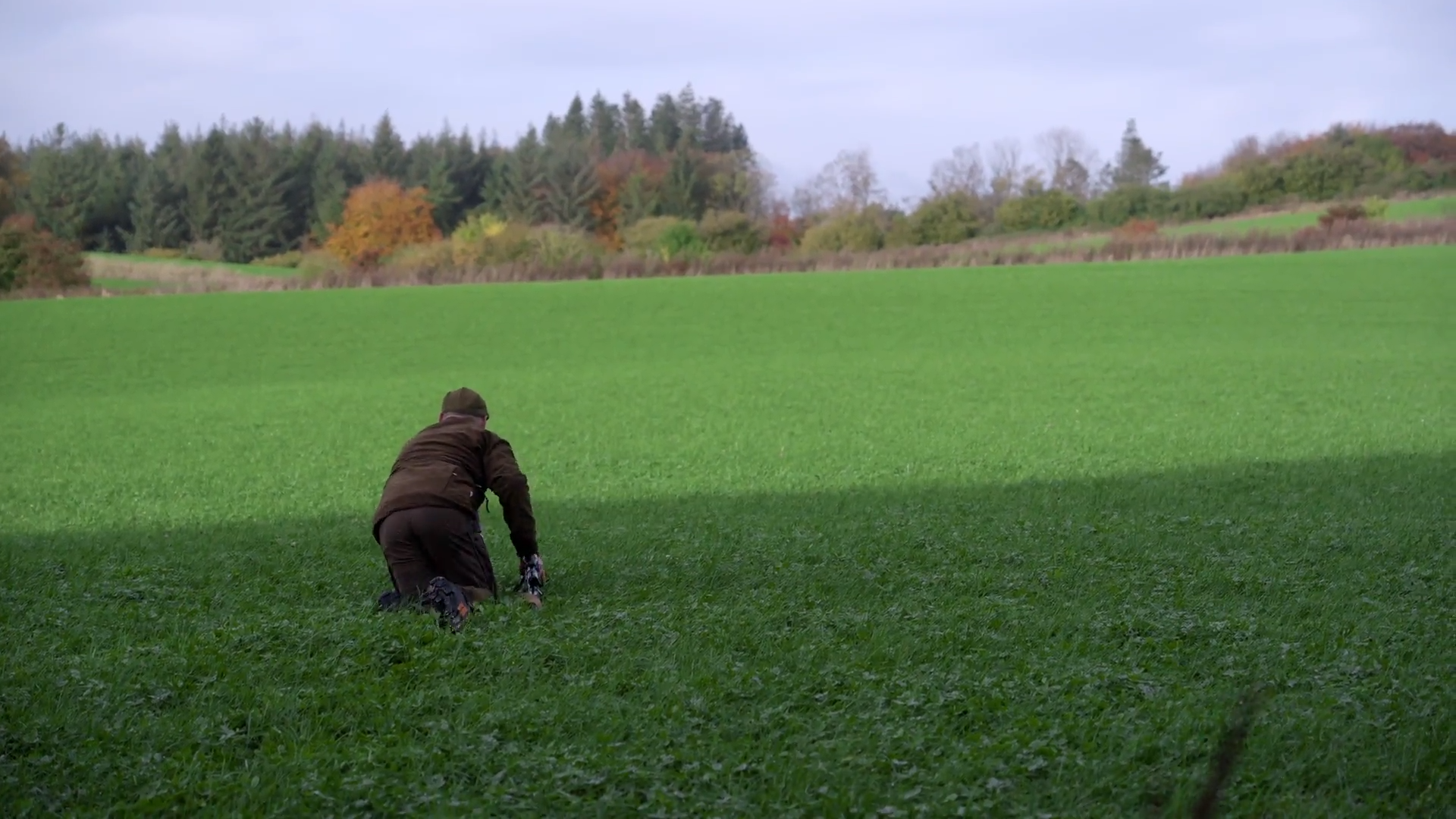 NatureWise, Denmark episode thumbnail