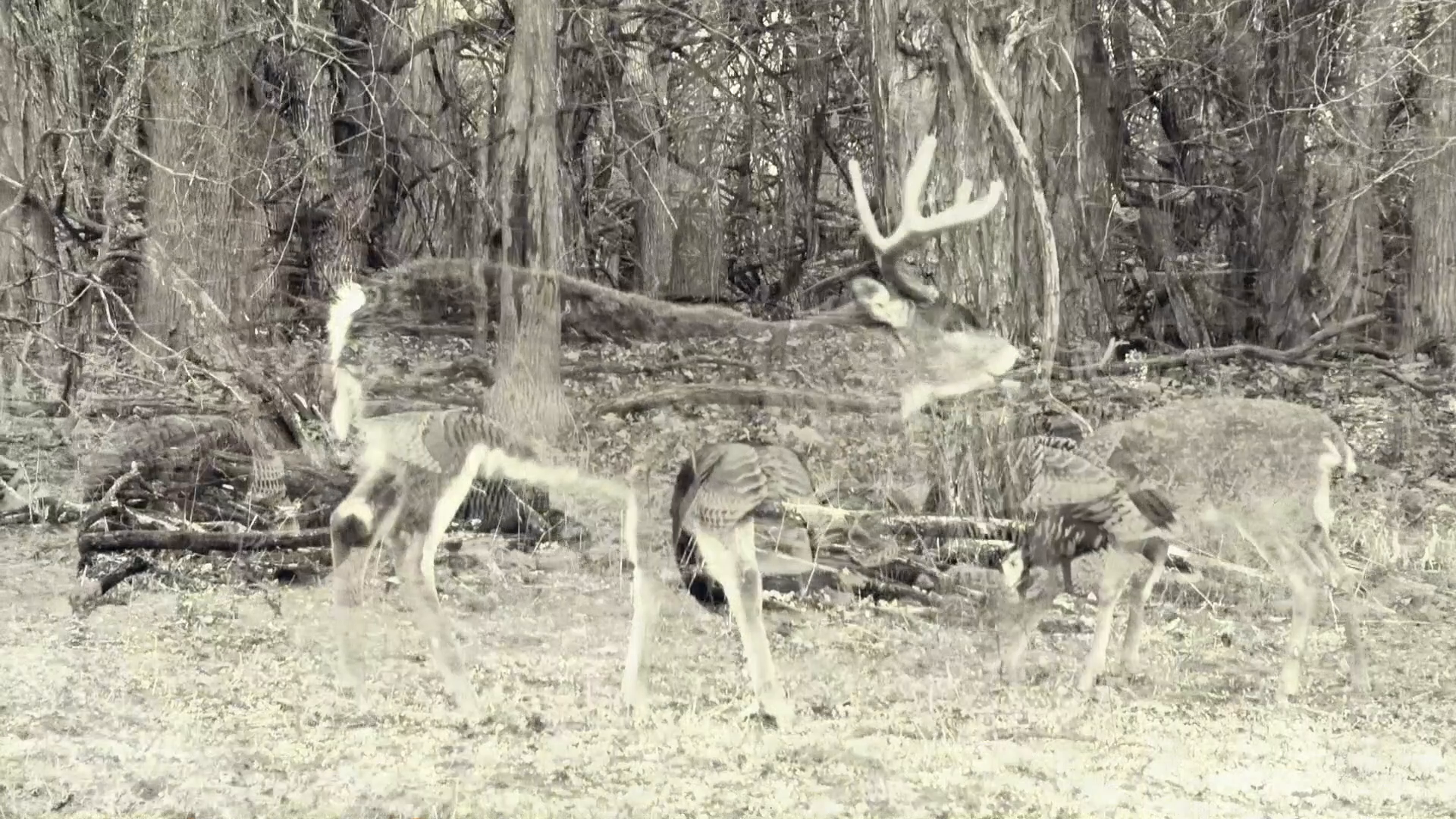 New Mexico with Pa episode thumbnail