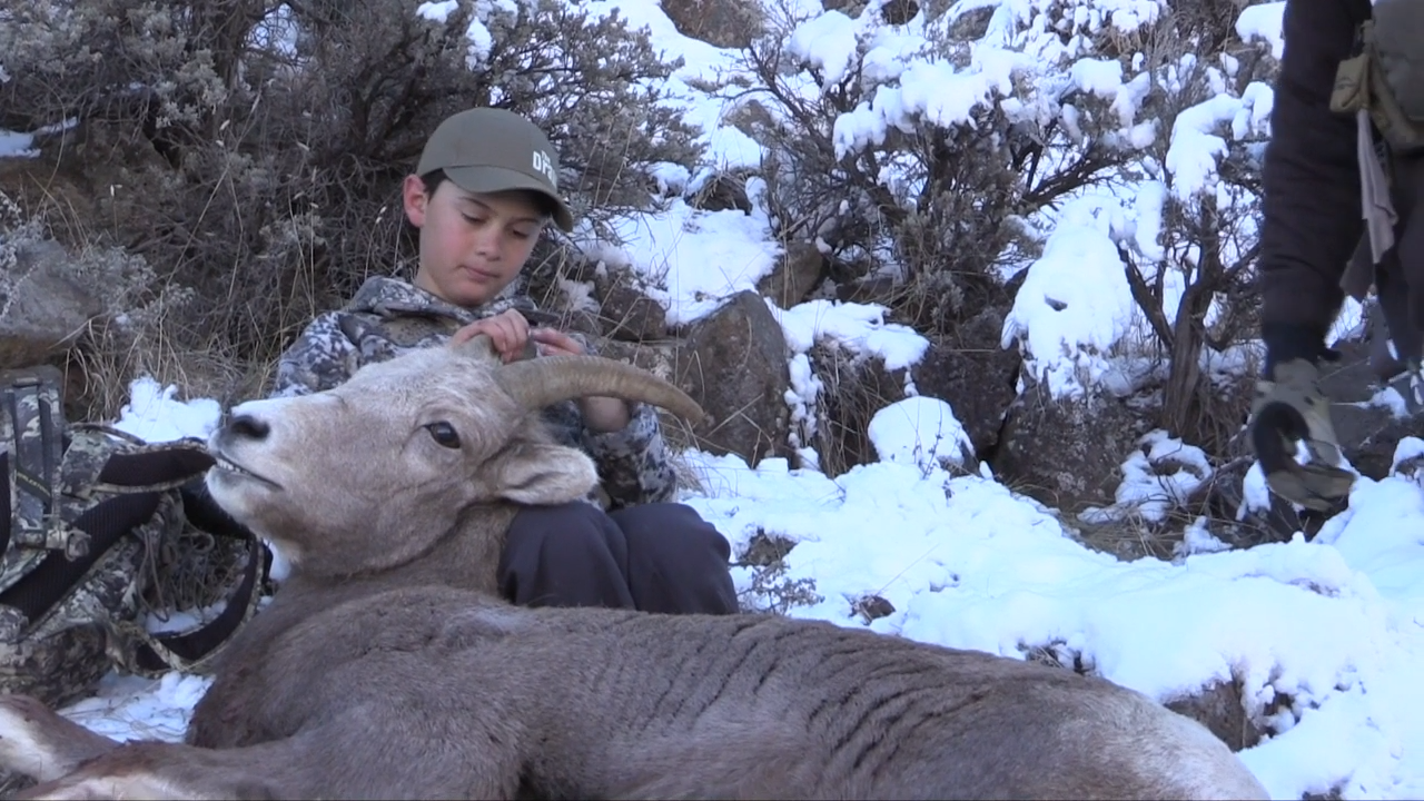 New Mexico Sheep episode thumbnail