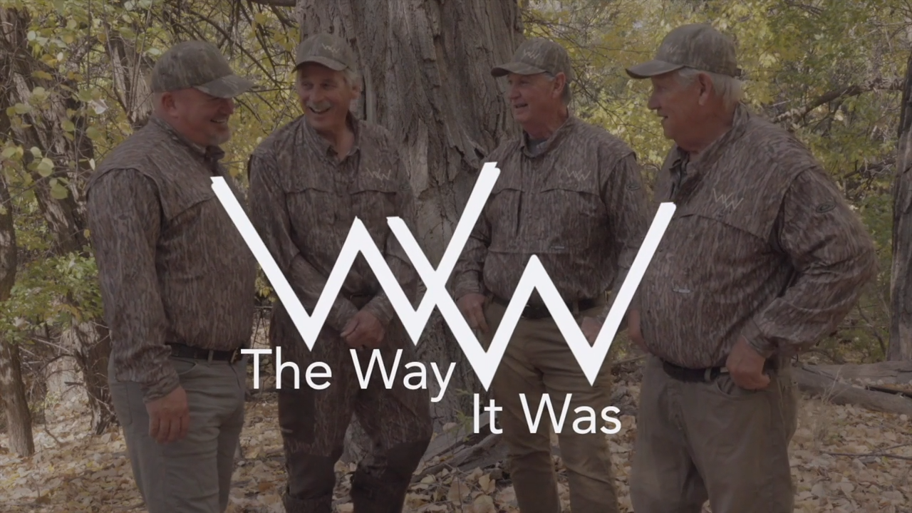 Looking Back episode thumbnail