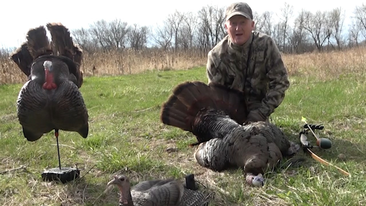 Iowa Turkeys episode thumbnail