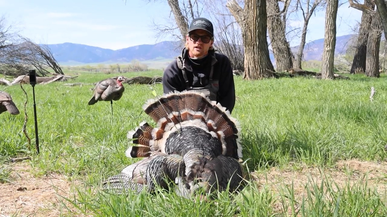 Wyoming episode thumbnail