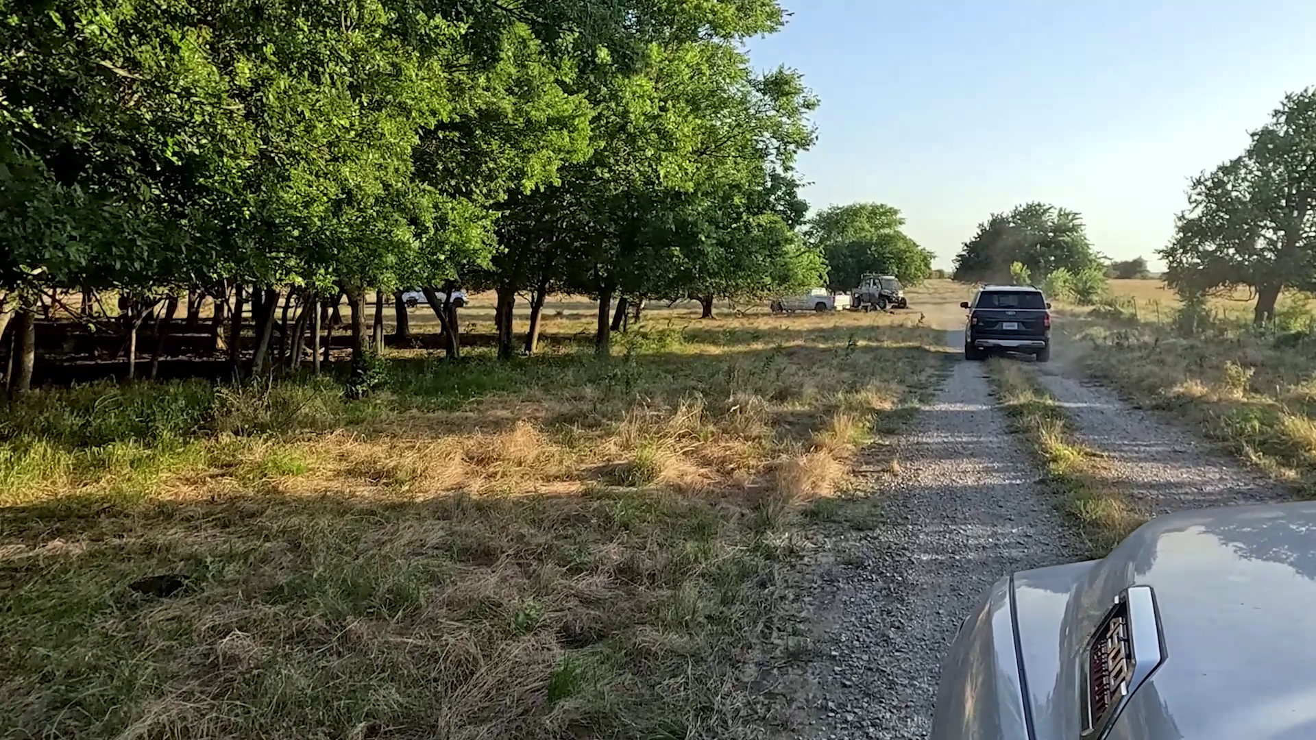 Pork Patrol episode thumbnail