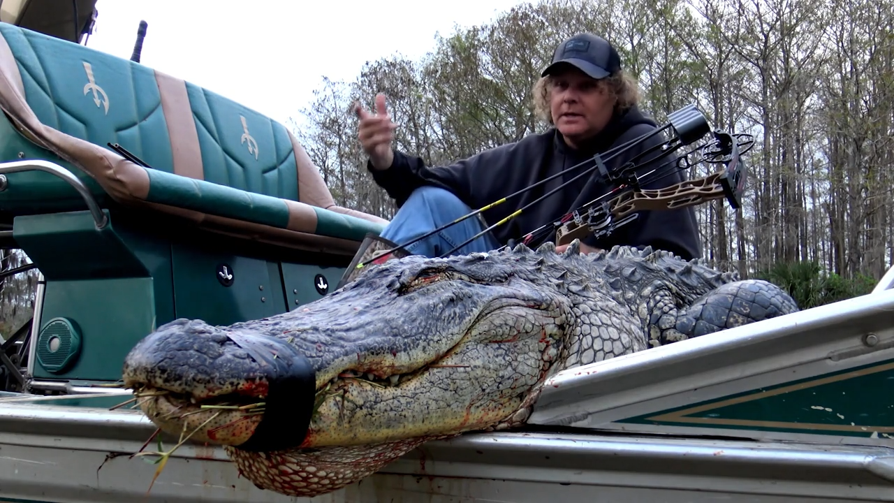 Get That Gator episode thumbnail