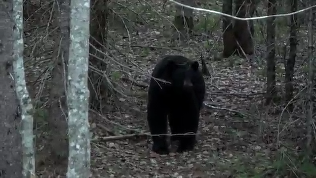 First Time Highs episode thumbnail