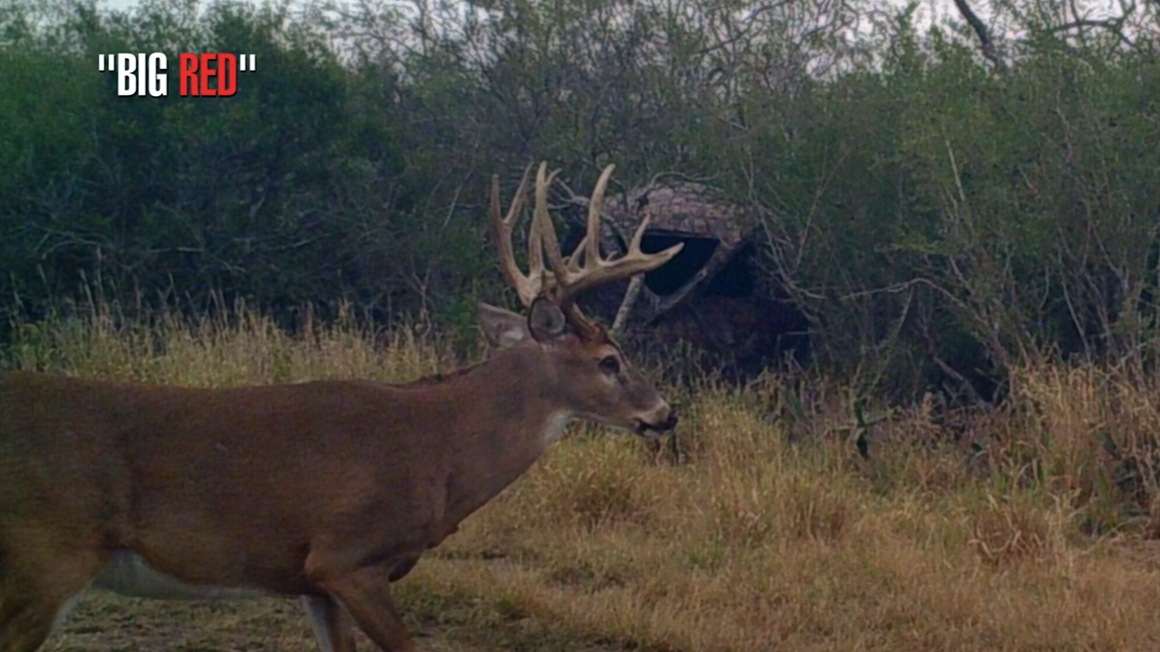 Big Red 2.0 episode thumbnail