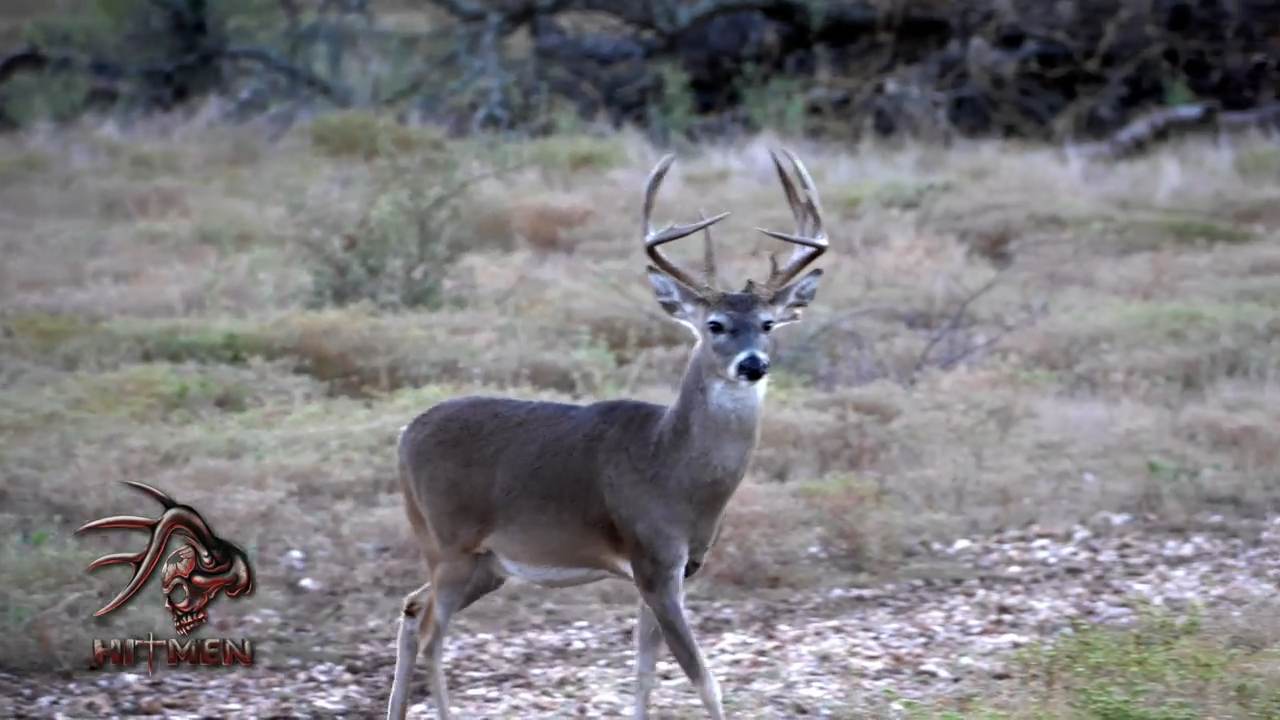 Mr. Bossman episode thumbnail