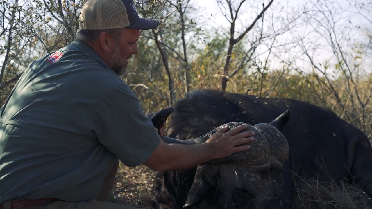 Dense Brush Danger episode thumbnail