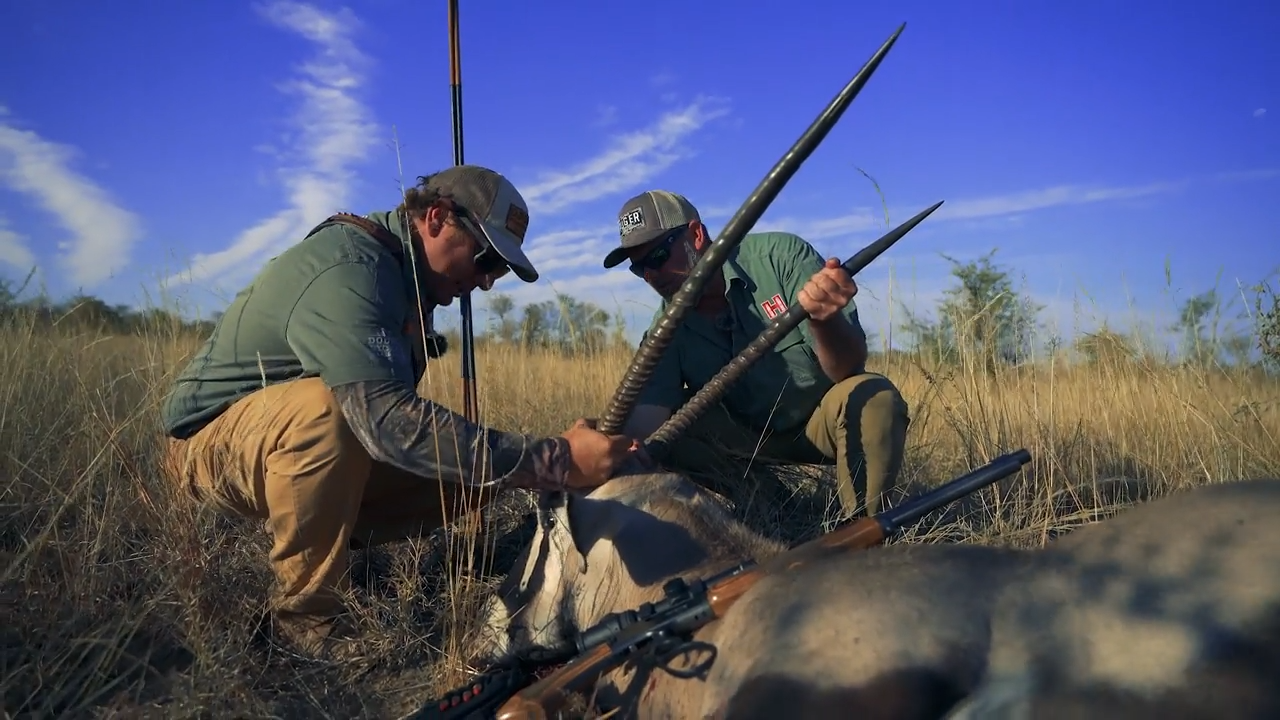 Gemsbok, Sabre Antelope episode thumbnail