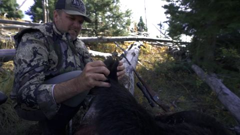 Hounds In The Hills of New Mexico episode thumbnail