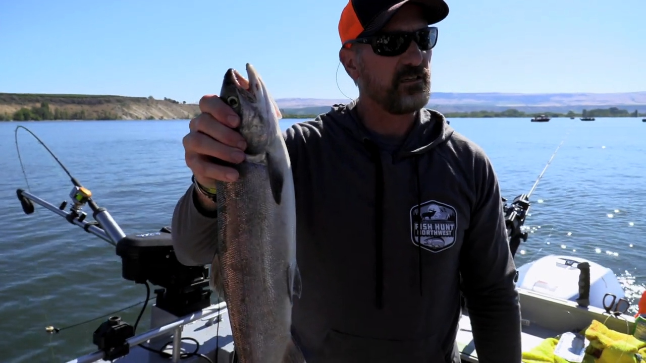Blustery Brewster Sockeye episode thumbnail