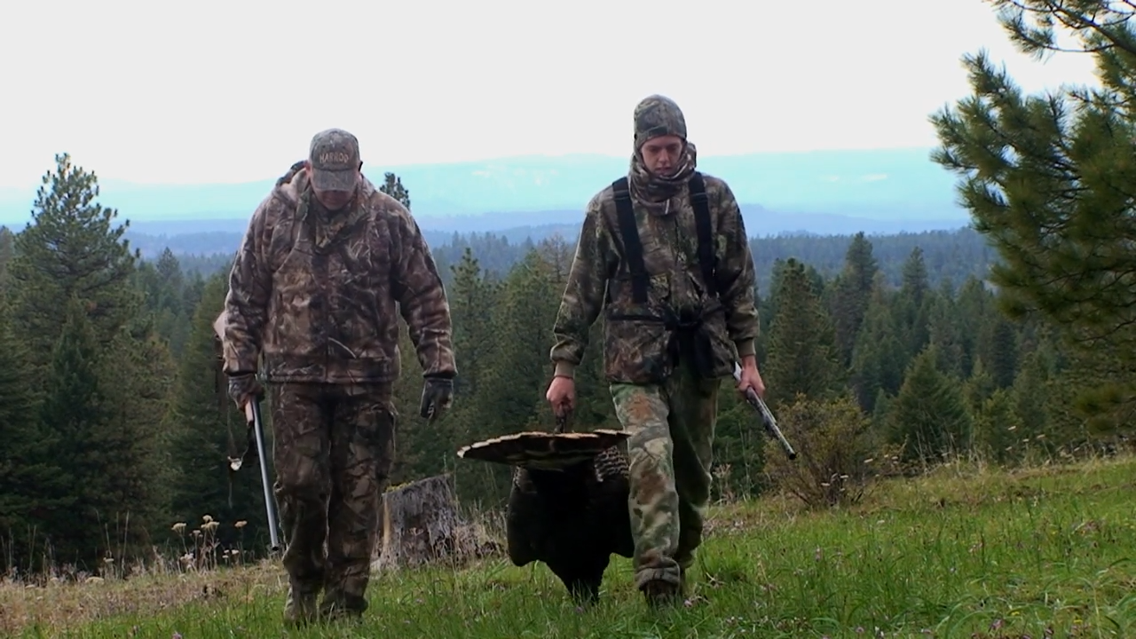 The Quest for Bears and Turkeys episode thumbnail