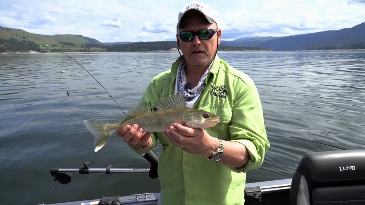 Kettle Falls Walleye episode thumbnail