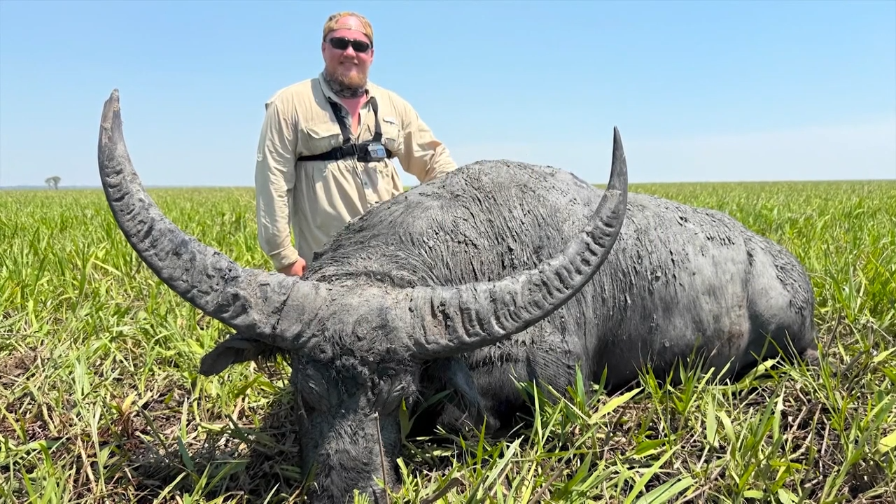 Australia Buffalo Safari episode thumbnail