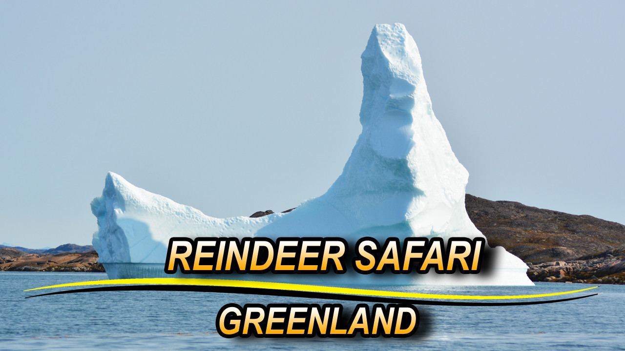 Greenland Reindeer Safari episode thumbnail