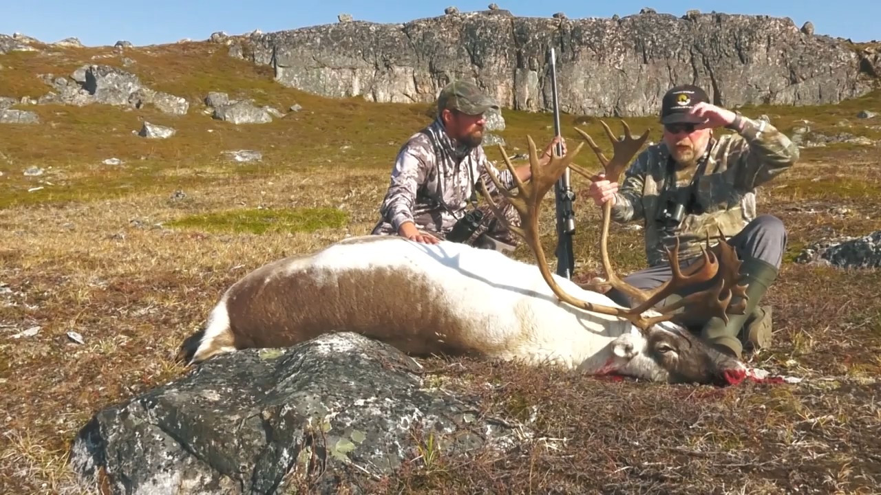 Greenland Reindeer Hunt episode thumbnail