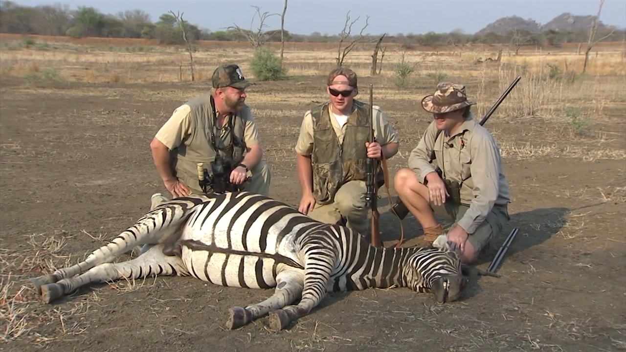 Warthog, Zebra & Nyala Safari episode thumbnail