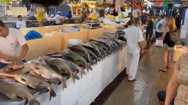 Brazil Sport Fishing episode thumbnail