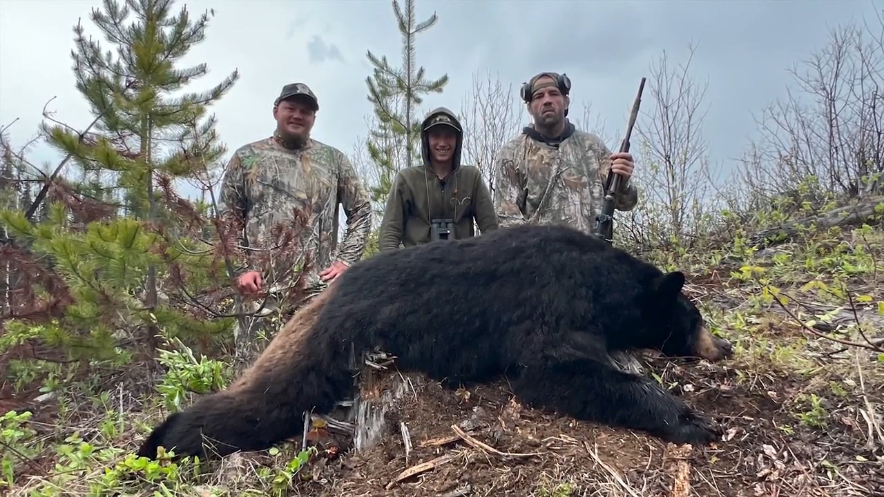 Canadian Bear Hunt episode thumbnail