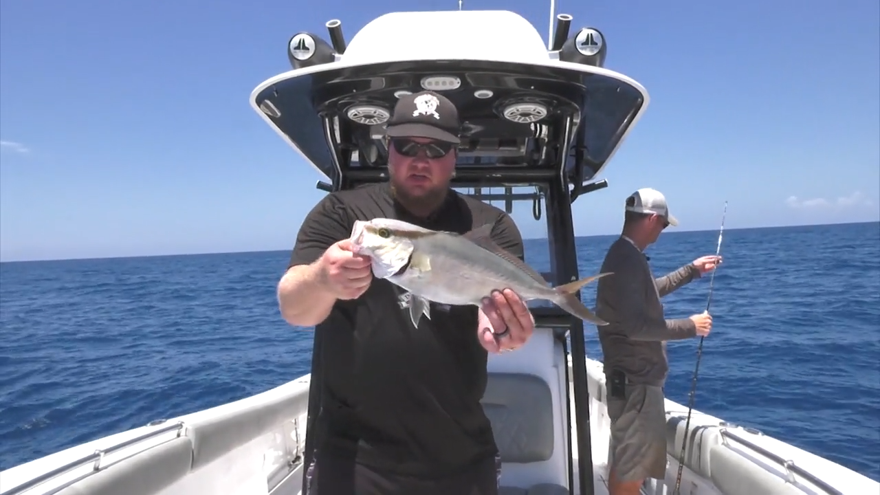 Florida Grouper & Snapper Fishing episode thumbnail