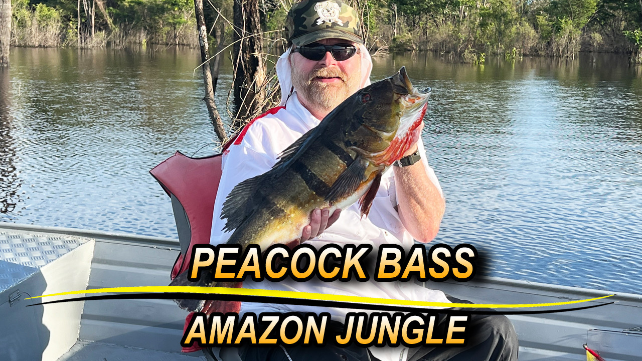 Amazon Sport Fishing episode thumbnail