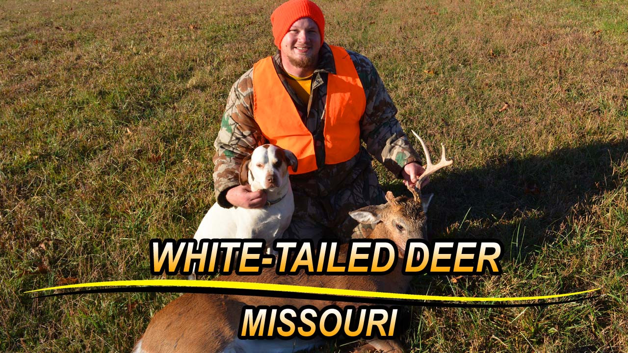 Missouri White-Tailed Deer episode thumbnail