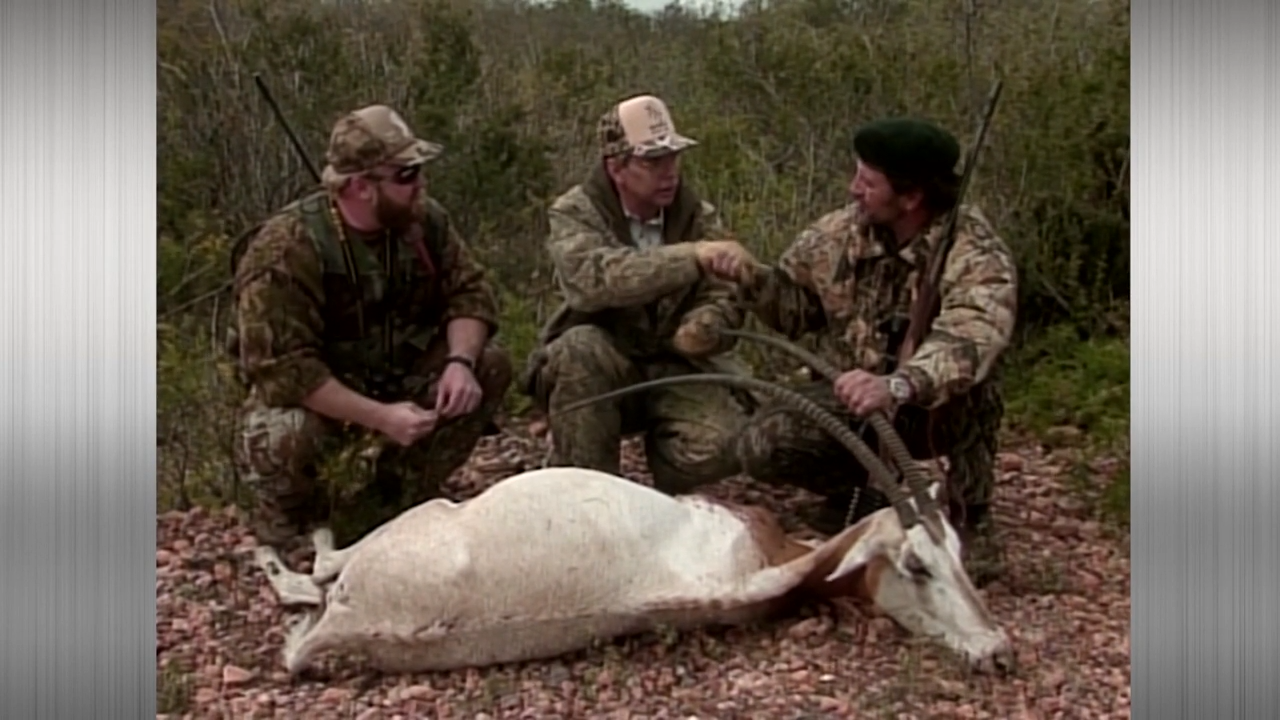 Celebrity Big Game Hunts episode thumbnail