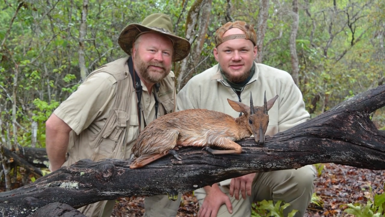 Africa's Tiny 10 Safari episode thumbnail