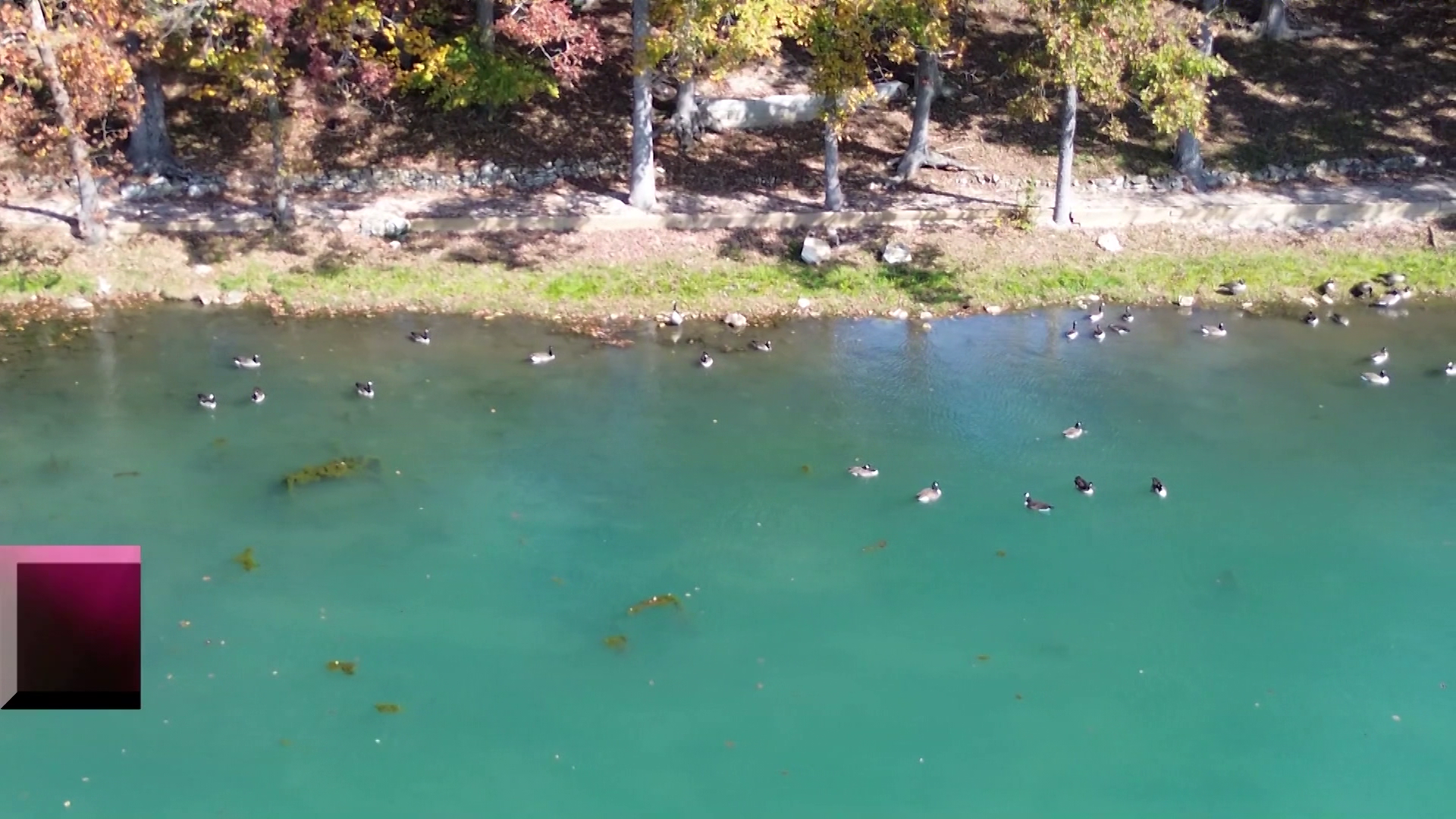 Mammoth Spring Fly Fishing episode thumbnail