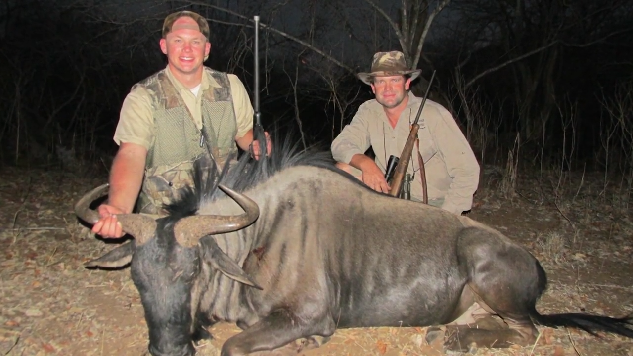 African Wildebeest Safari episode thumbnail