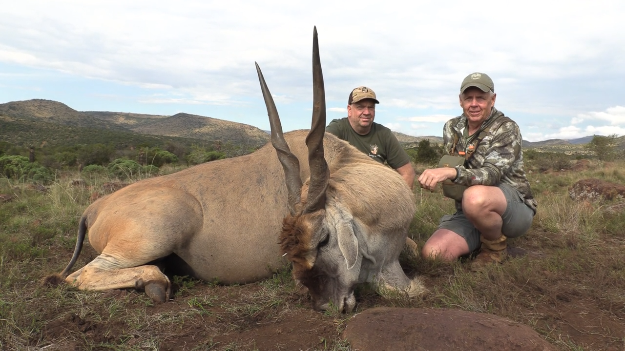 In Search of a Giant - Part 2 episode thumbnail