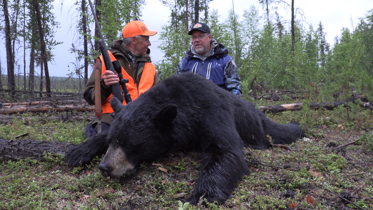 Cree River Bruins episode thumbnail