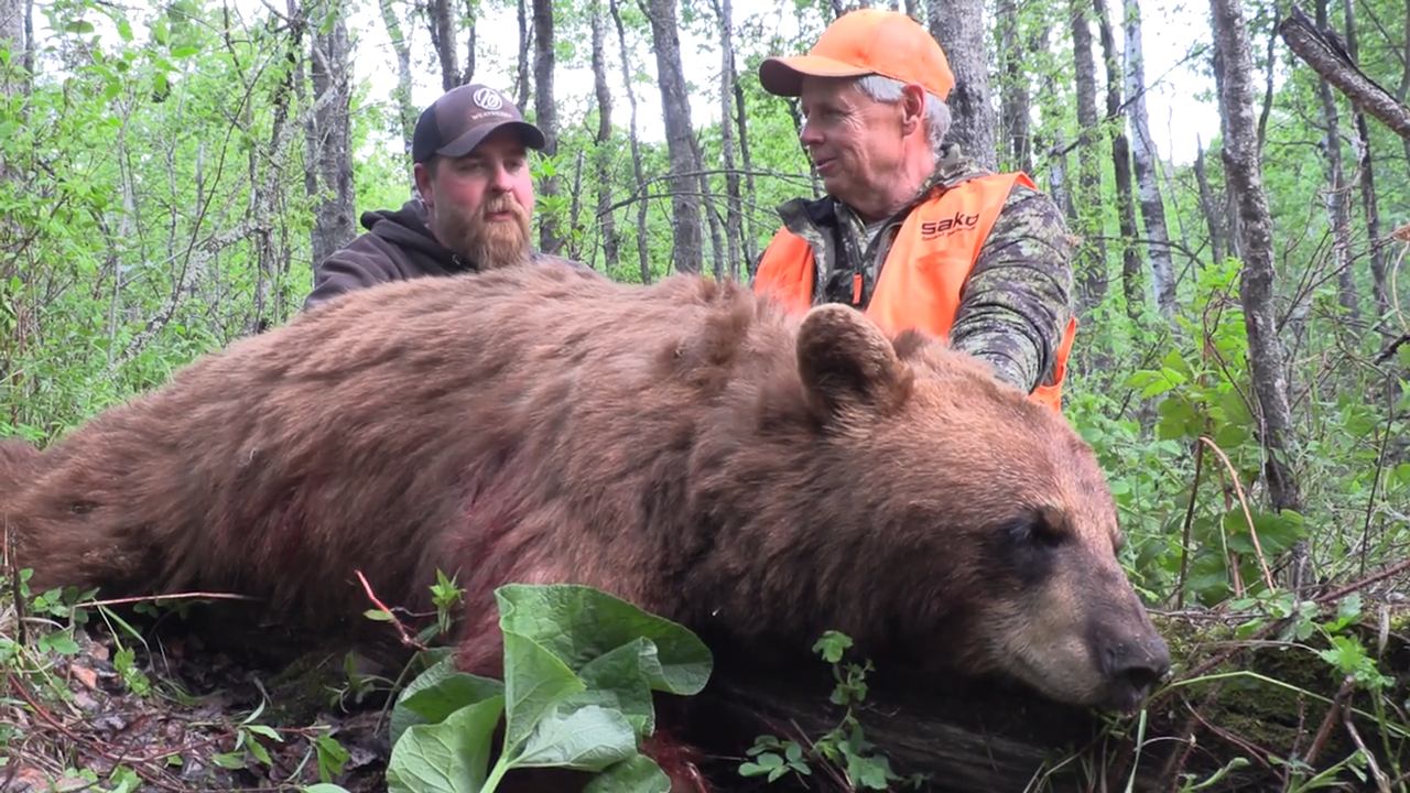 Saskatchewan Farmland Bears episode thumbnail