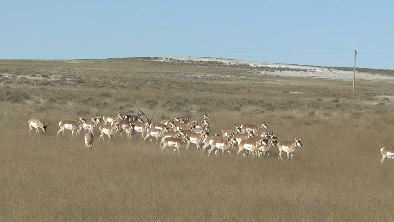 Season 25, Episode 5 episode thumbnail