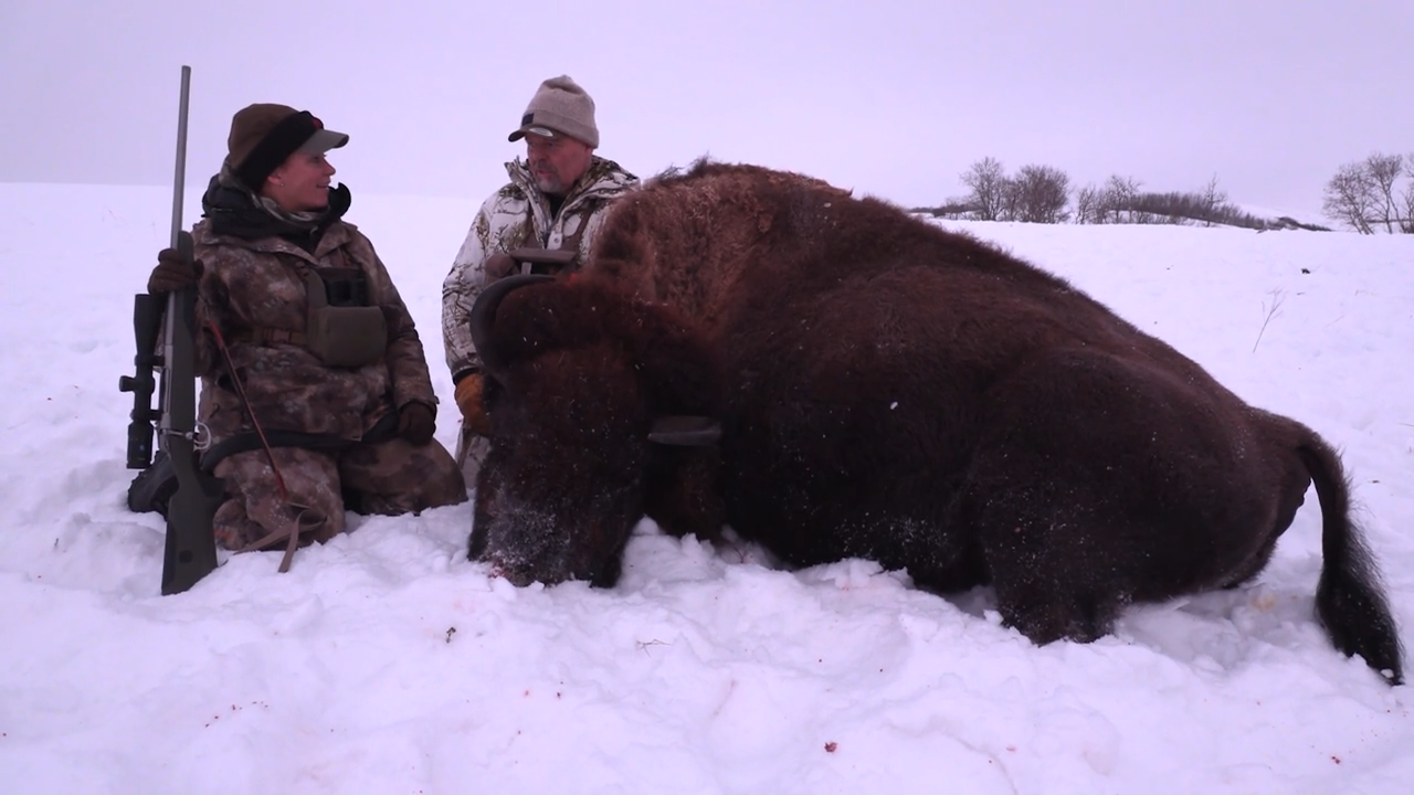 Finnlight Bison episode thumbnail