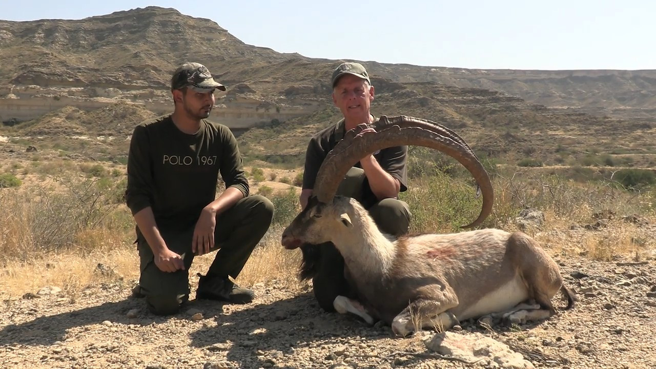 Sindh Ibex in Pakistan episode thumbnail