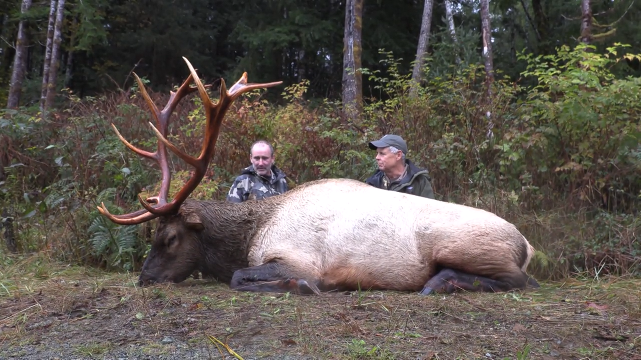 Long-Range Elk episode thumbnail
