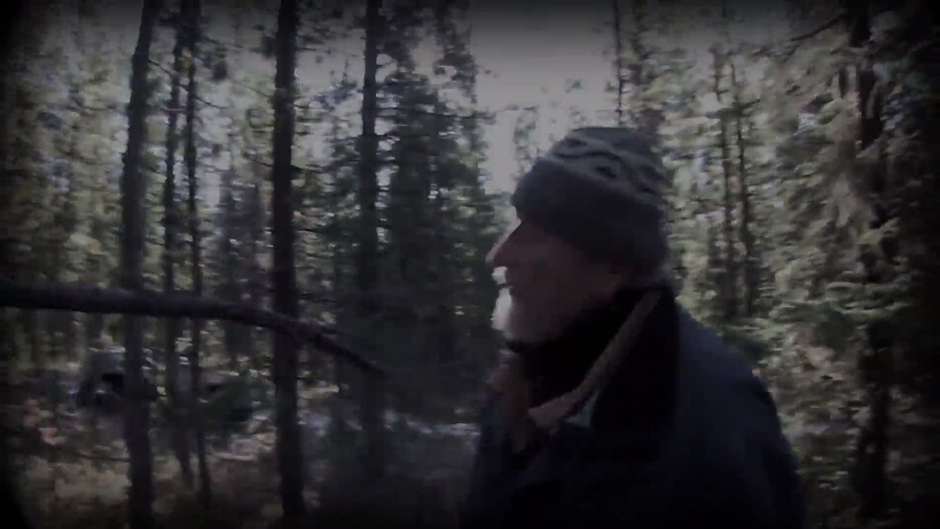 Tracking in the Adirondacks  Part 2 episode thumbnail