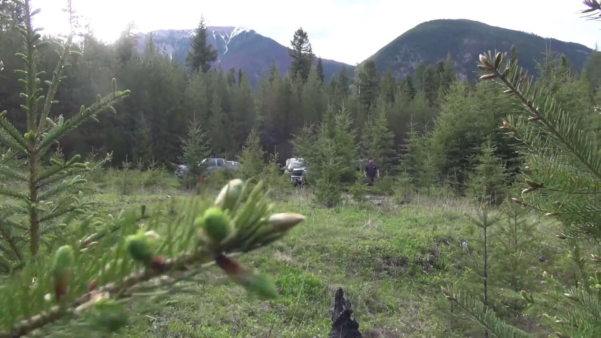 Footprints episode thumbnail