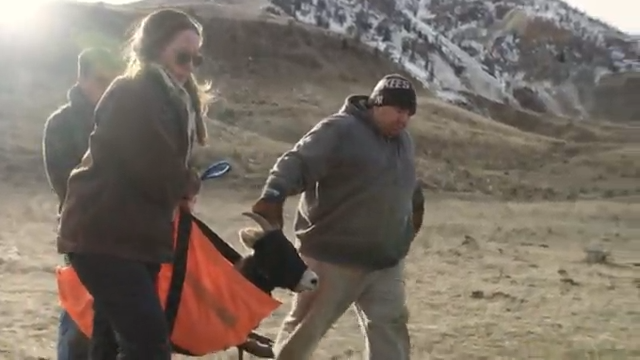 Transmission episode thumbnail